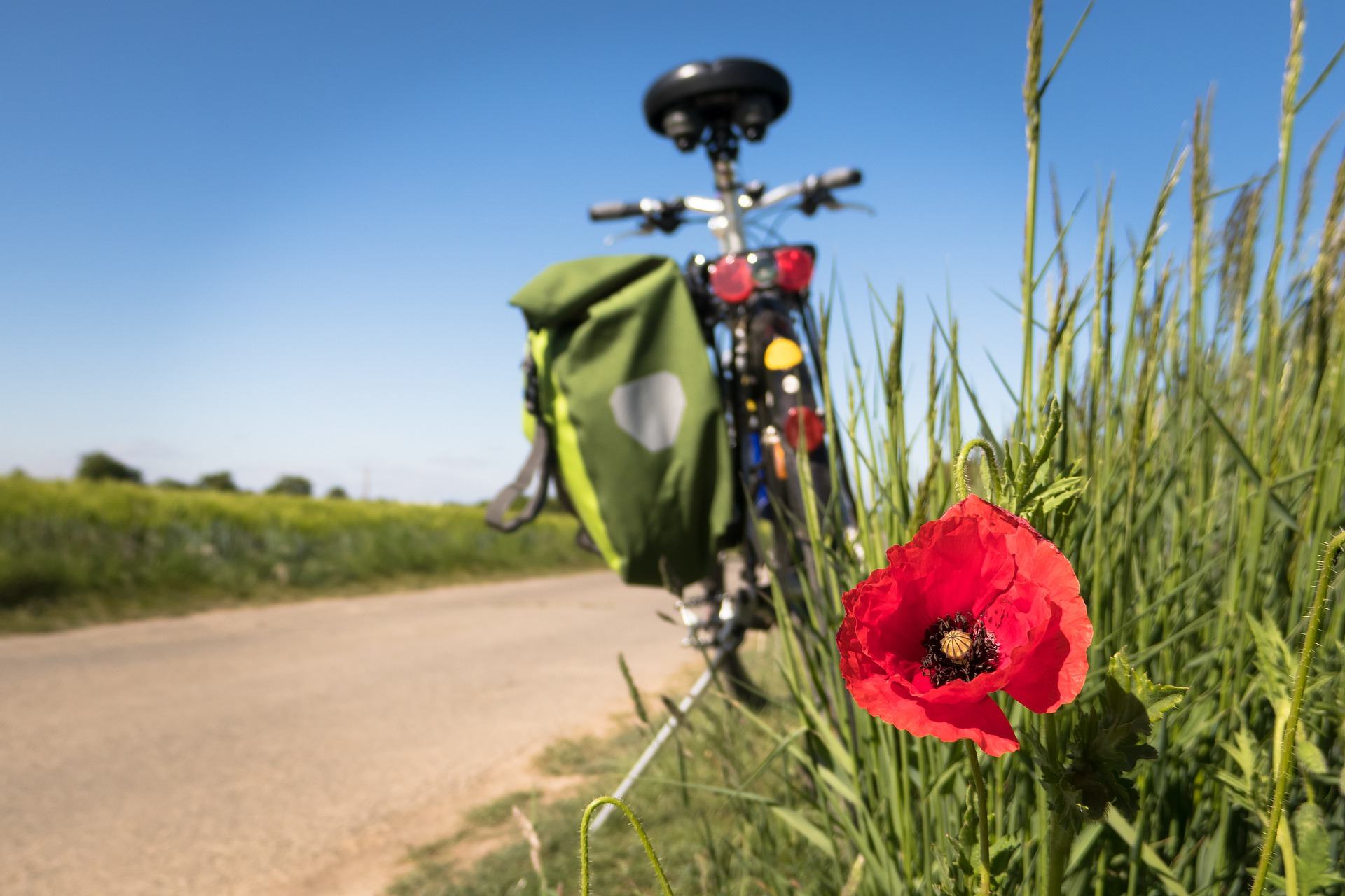 Ein Fahrrad steht in der Wiese